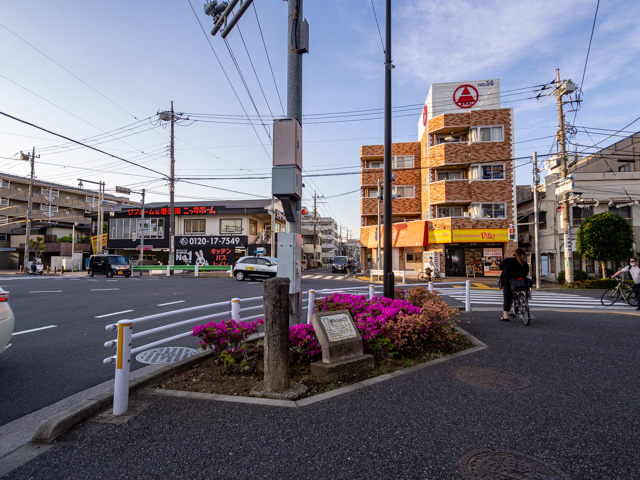 画像を別ウィンドウで表示します 画像
