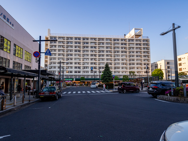 画像を別ウィンドウで表示します 画像