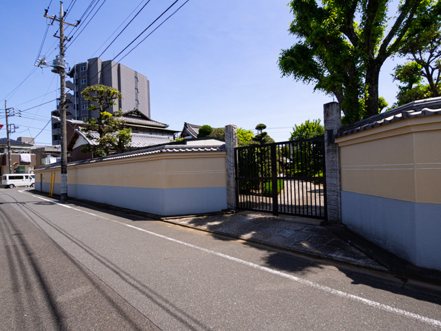 画像を別ウィンドウで表示します 画像