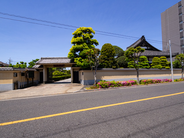 画像を別ウィンドウで表示します 画像