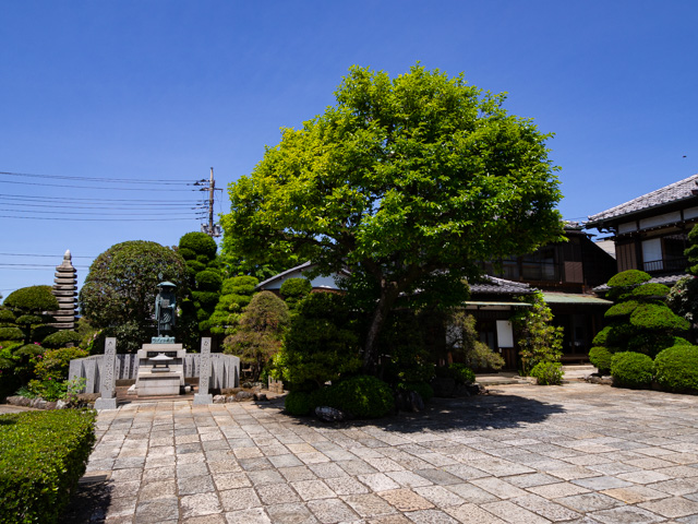 画像を別ウィンドウで表示します 画像