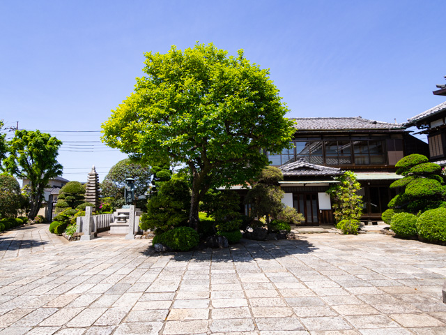 画像を別ウィンドウで表示します 画像