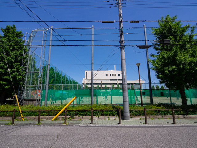 画像を別ウィンドウで表示します 画像