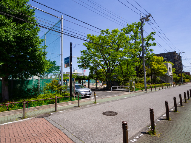 画像を別ウィンドウで表示します 画像