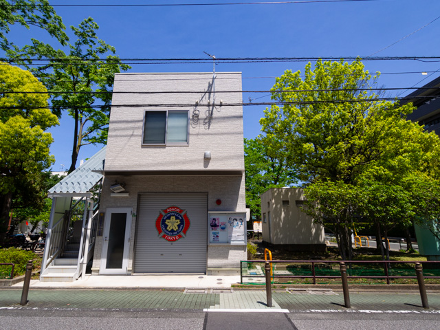 画像を別ウィンドウで表示します 画像