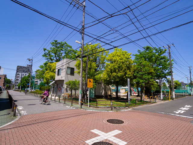 画像を別ウィンドウで表示します 画像