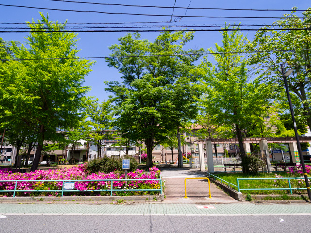 画像を別ウィンドウで表示します 画像