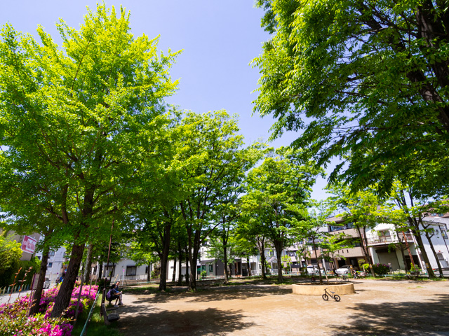 画像を別ウィンドウで表示します 画像