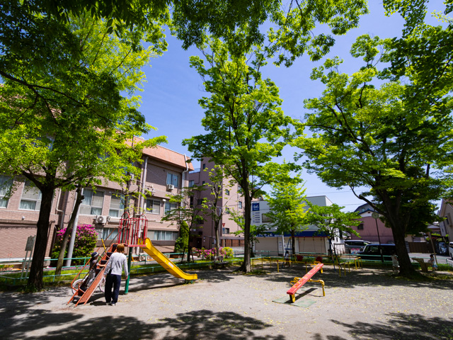 画像を別ウィンドウで表示します 画像