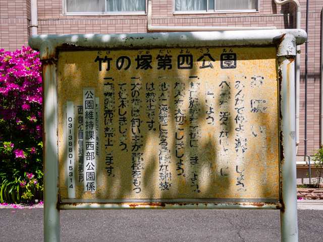 画像を別ウィンドウで表示します 画像