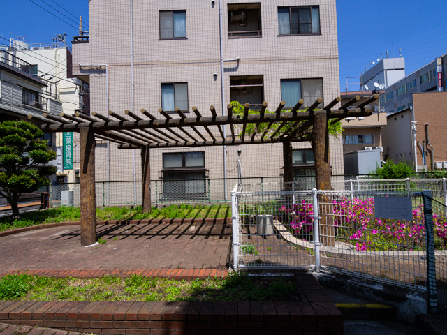 画像を別ウィンドウで表示します 画像