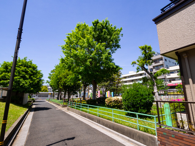 画像を別ウィンドウで表示します 画像