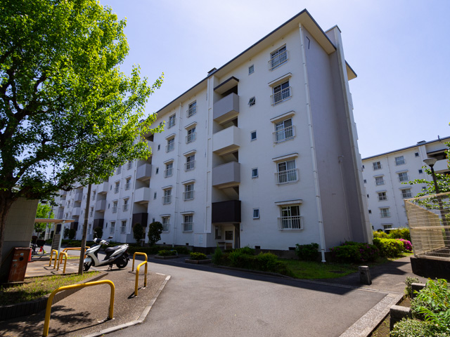 画像を別ウィンドウで表示します 画像