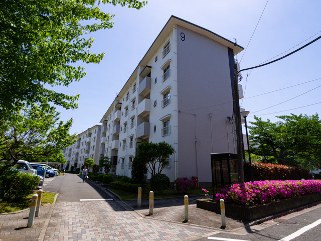 画像を別ウィンドウで表示します 画像