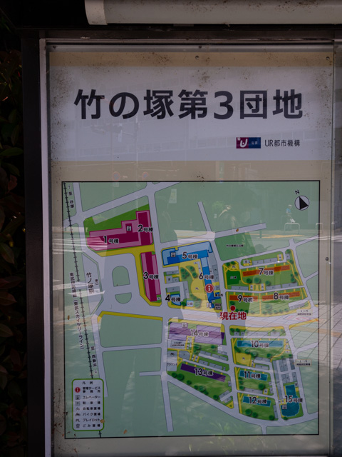 画像を別ウィンドウで表示します 画像
