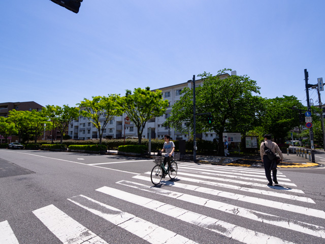 画像を別ウィンドウで表示します 画像
