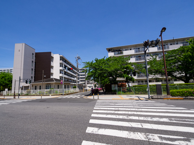 画像を別ウィンドウで表示します 画像