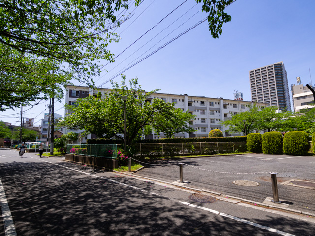 画像を別ウィンドウで表示します 画像