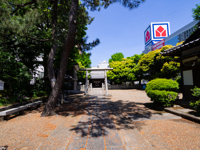 画像を別ウィンドウで表示します 画像