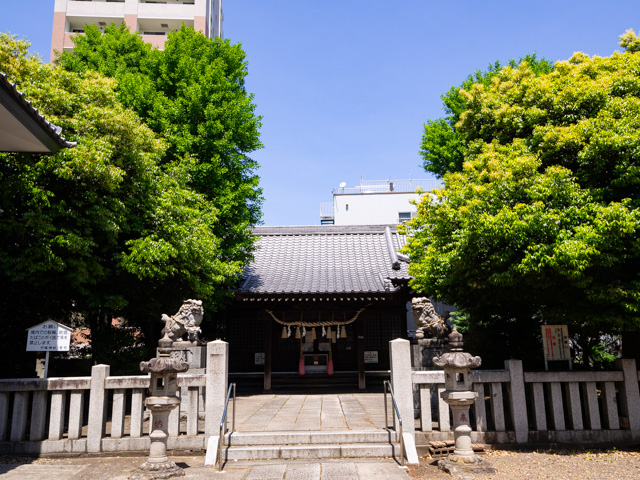 画像を別ウィンドウで表示します 画像