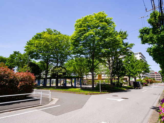 画像を別ウィンドウで表示します 画像