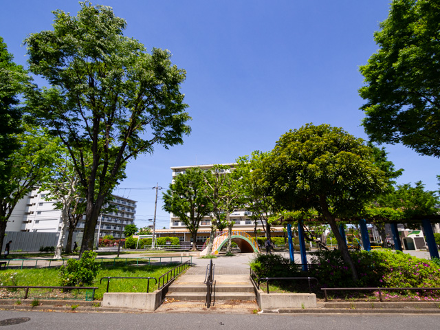 画像を別ウィンドウで表示します 画像