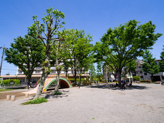 画像を別ウィンドウで表示します 画像