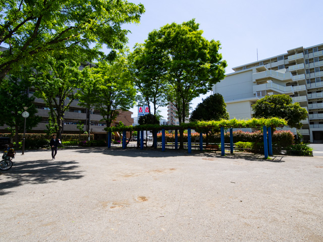 画像を別ウィンドウで表示します 画像