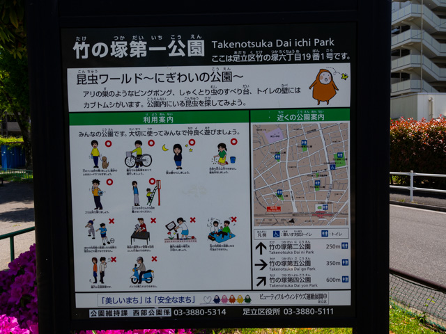 画像を別ウィンドウで表示します 画像