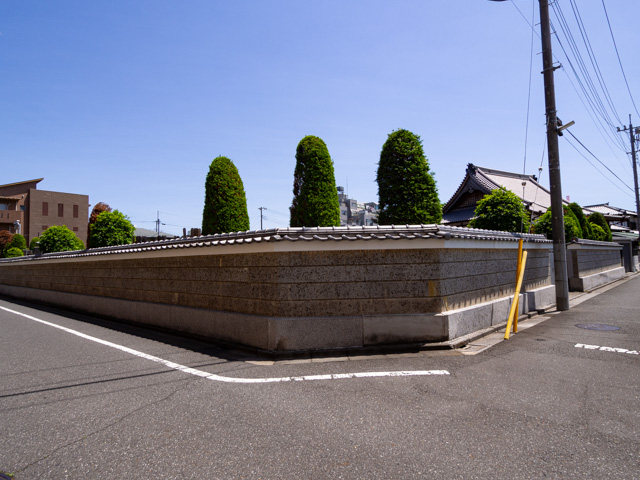 画像を別ウィンドウで表示します 画像