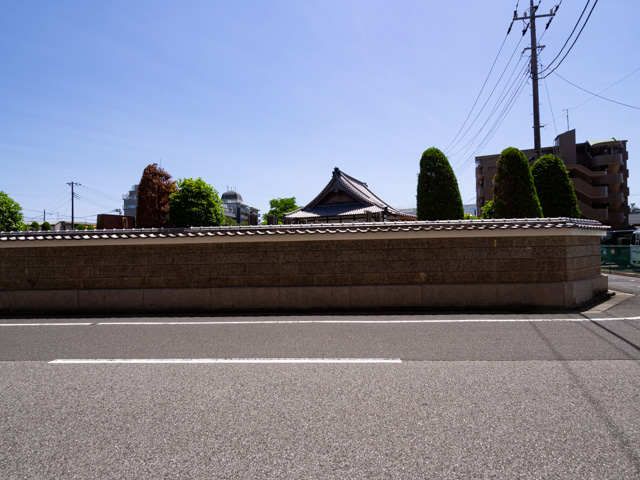 画像を別ウィンドウで表示します 画像