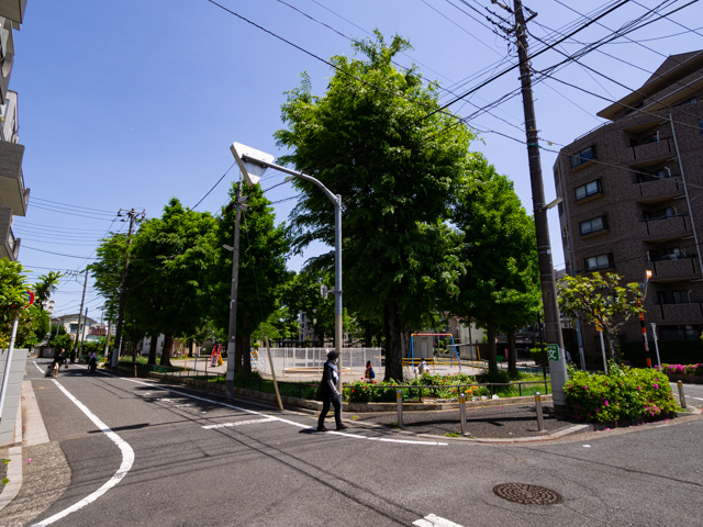 画像を別ウィンドウで表示します 画像