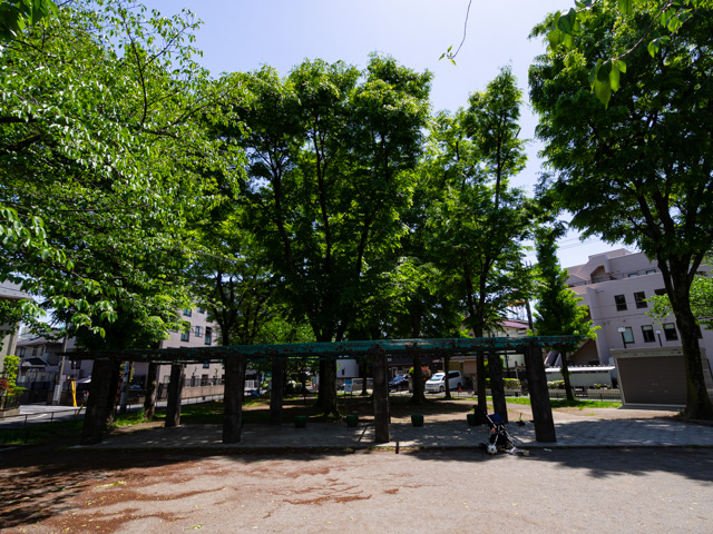 画像を別ウィンドウで表示します 画像