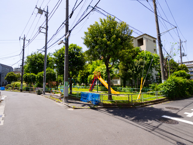 画像を別ウィンドウで表示します 画像