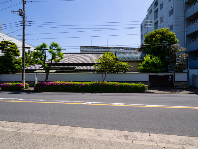 画像を別ウィンドウで表示します 画像
