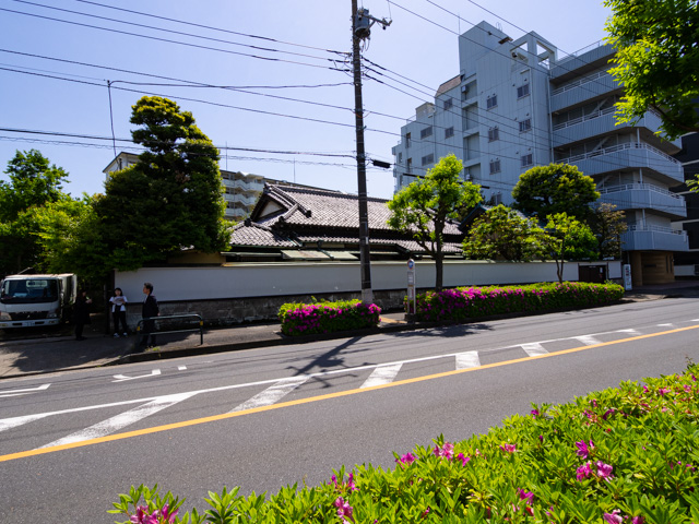 画像を別ウィンドウで表示します 画像