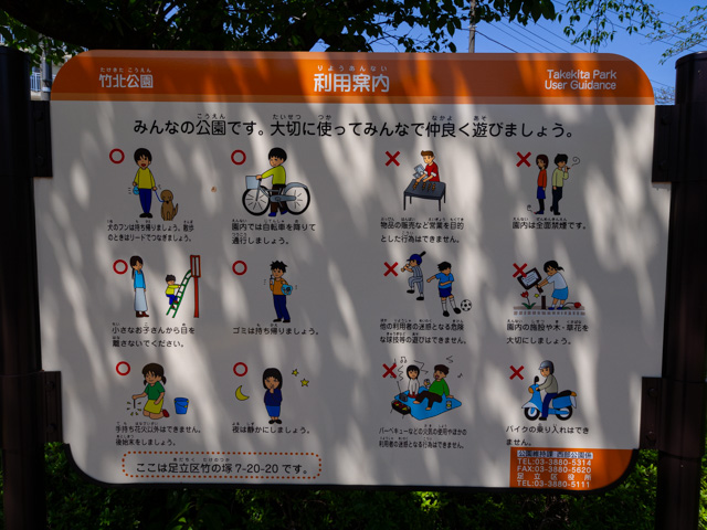 画像を別ウィンドウで表示します 画像