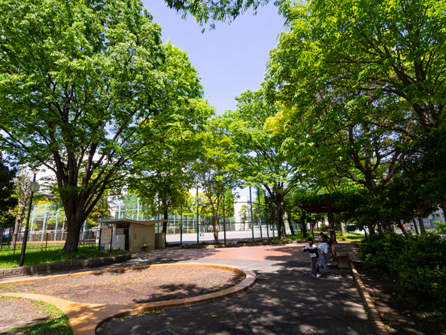画像を別ウィンドウで表示します 画像
