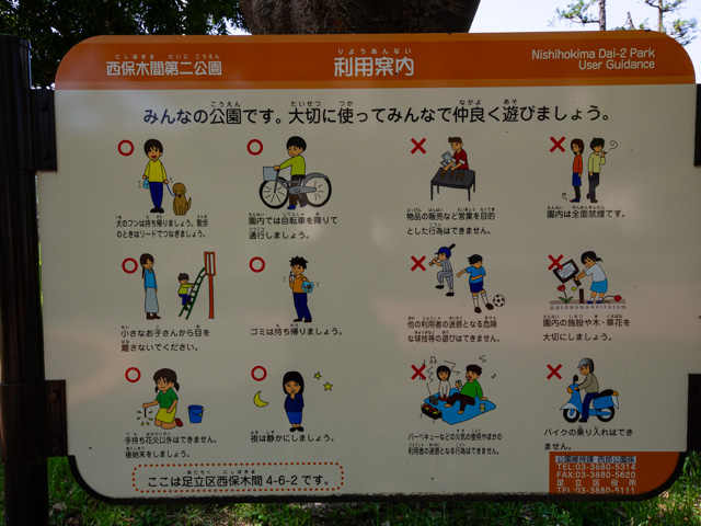 画像を別ウィンドウで表示します 画像
