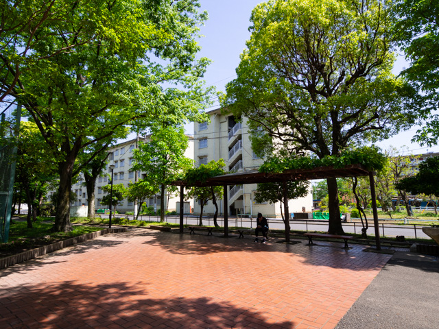 画像を別ウィンドウで表示します 画像