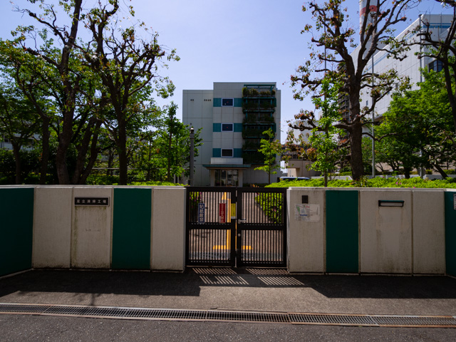 画像を別ウィンドウで表示します 画像