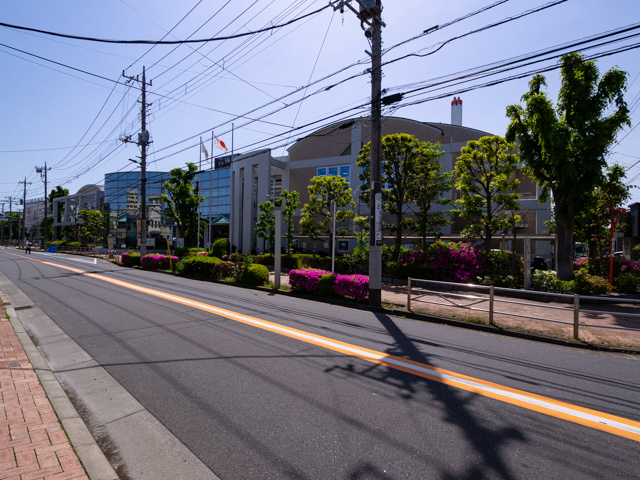 画像を別ウィンドウで表示します 画像