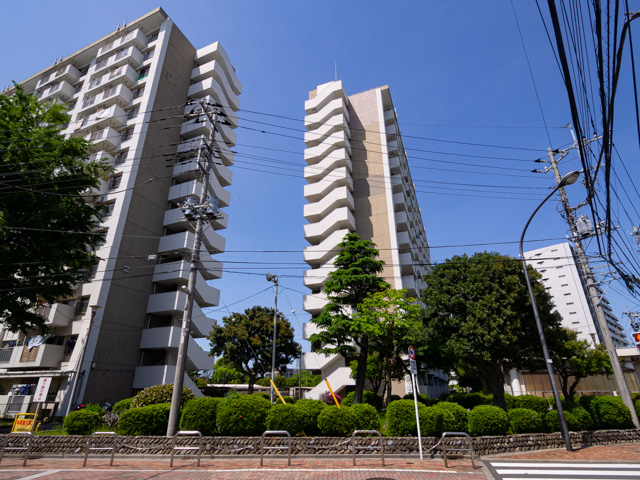 画像を別ウィンドウで表示します 画像