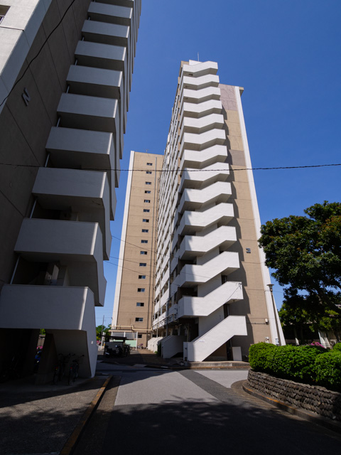 画像を別ウィンドウで表示します 画像