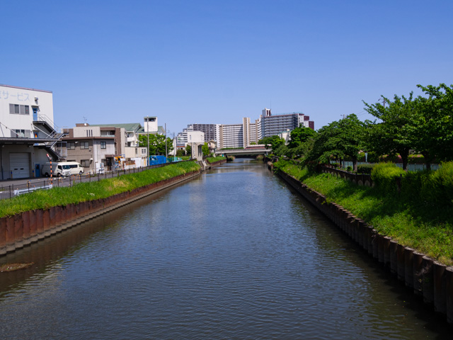 画像を別ウィンドウで表示します 画像