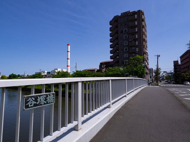 画像を別ウィンドウで表示します 画像