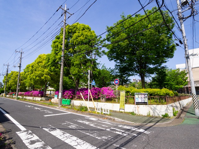 画像を別ウィンドウで表示します 画像