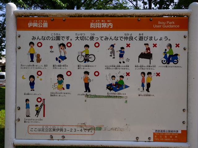 画像を別ウィンドウで表示します 画像