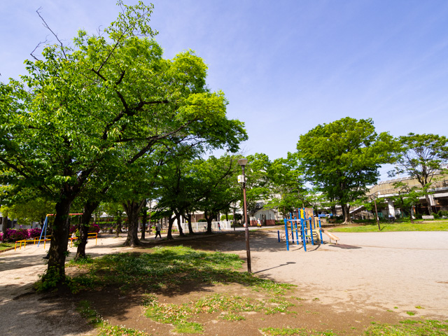画像を別ウィンドウで表示します 画像