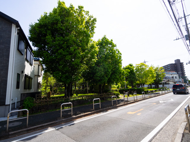 画像を別ウィンドウで表示します 画像